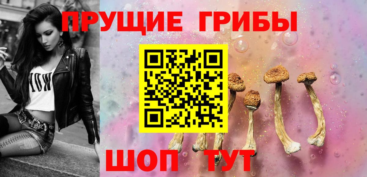 Урюпинск  Псилоцибиновые грибы Cubensis  Вход с VPN  Галлюциногенные грибы Psilocybine cubensis 